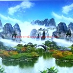 Rèm cuốn dung quang