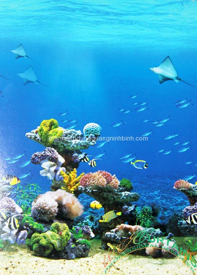 * MÀNH RÈM CÔNG TRÌNH DUNG QUANG NINH BÌNH CAO CẤP.